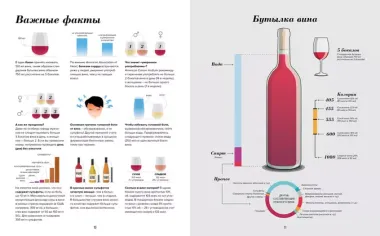 Wine Folly. Издание Магнум, детализированное