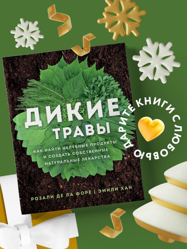 Дикие травы: как найти целебные продукты и создать собственные натуральные лекарства