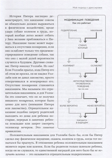 Дрессировка без наказания. 5 недель, которые сделают вашу собаку лучшей в мире