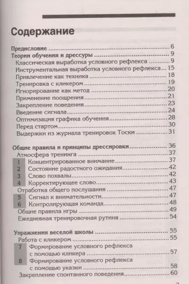 Веселая школа для собак. 100 совершенно новых игр