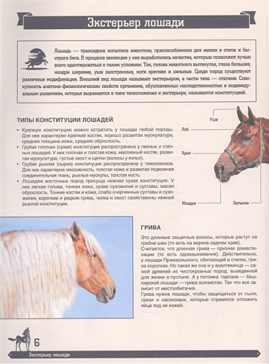 Большая энциклопедия. Лошади