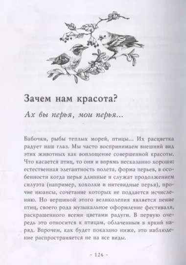 Удивительная философия птиц. Как ласточки относятся к смерти, горлицы сохраняют романтику в отношениях, а утки спасаются от стресса