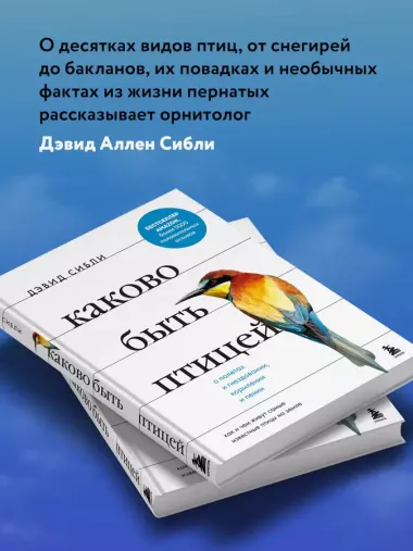 Каково быть птицей: о полетах и гнездовании, кормлении и пении. Как и чем живут самые известные птицы на земле