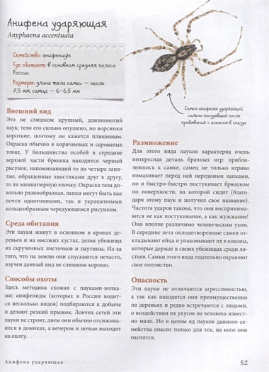 Пауки: познавательная иллюстрированная энциклопедия для всей семьи