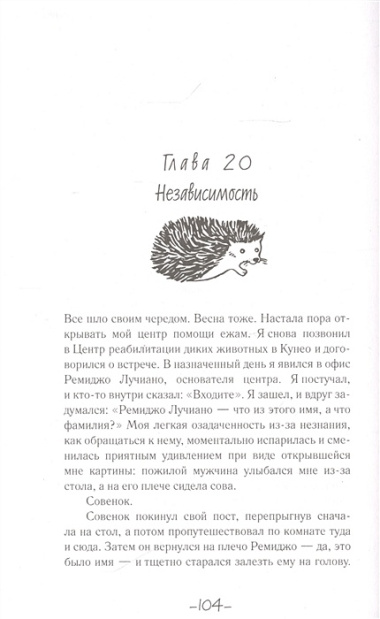 25 граммов счастья. История маленького ежика, который изменил жизнь человека