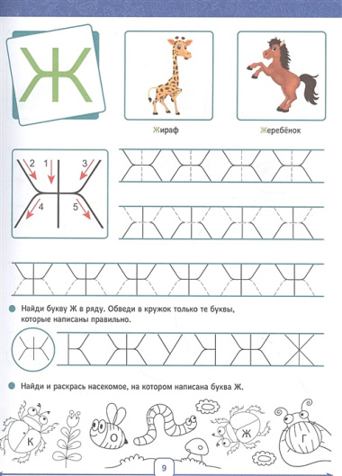 Годовой курс. 5-6 лет