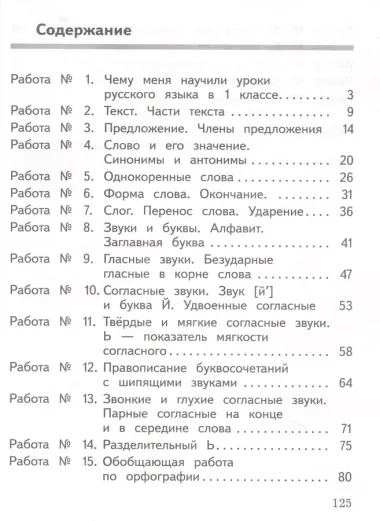 Русский язык. 2 класс. Предварительный контроль, текущий контроль, итоговый контроль