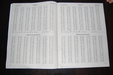 3000 примеров по математике. Сложение и вычитание в пределах 100. 2-3 классы.