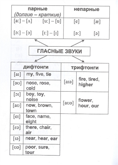 Английский язык: полный курс начальной школы