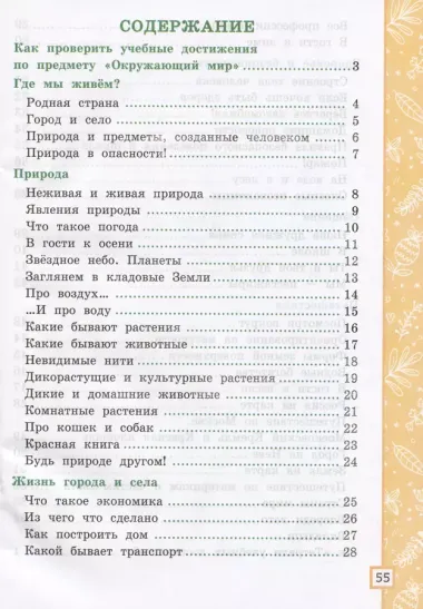 Окружающий мир. 2 класс. Тетрадь учебных достижений. К учебнику А.А. Плешакова "Окружающий мир. 2 класс. В 2-х частях"