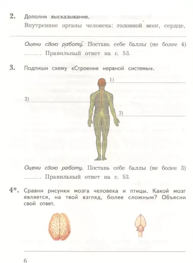 Окружающий мир. 4 класс. Тетрадь для проверочных работ №1