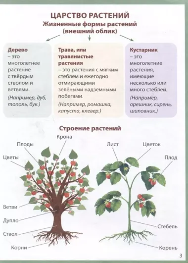 Шпаргалки отличника. Окружающий мир. Готовимся к ВПР