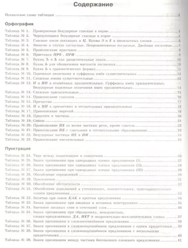 Русский язык в таблицах с комментариями (справочник по орфографии и пунктуации)