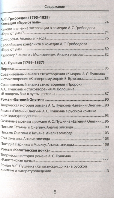 Образцовые сочинения по школьным стандартам: 5-11 классы