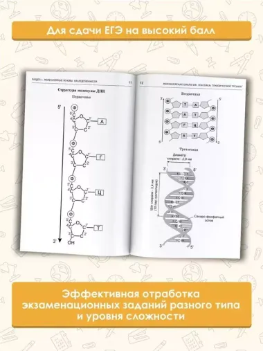 ЕГЭ. Молекулярная биология. Генетика. Тематический тренинг для подготовки к единому государственному экзамену