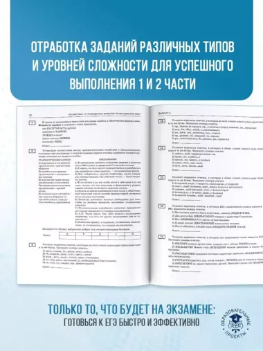 ЕГЭ-2025. Русский язык. 10 тренировочных вариантов экзаменационных работ для подготовки к ЕГЭ