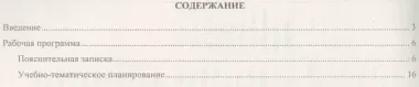 Русский язык. 5 класс: рабочая программа по учебнику Т.А. Ладыженской, М.Т. Баранова, Л.А. Тростенцовой