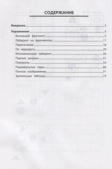 ЛабиринтУМ:визуальное мышление дп