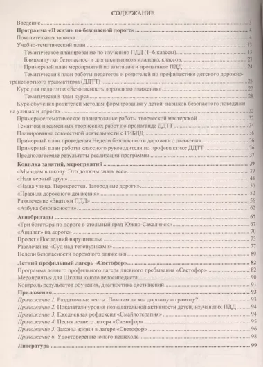 Профилактика детского дорожно-транспортного травматизма. 1-6 классы. Программа "В жизнь по безопасной дороге", занятия, акции