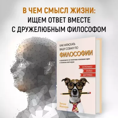 Как натаскать вашу собаку по ФИЛОСОФИИ и разложить по полочкам основные идеи и понятия этой науки