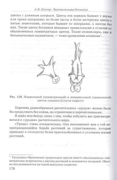 Занимательная ботаника