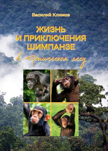 Жизнь и приключения шимпанзе в тропическом лесу