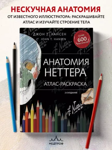 Анатомия Неттера: атлас-раскраска