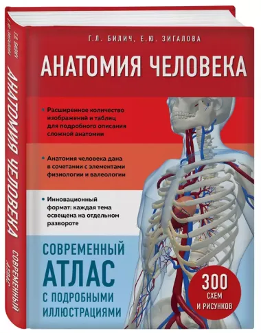 Анатомия человека. Современный атлас с подробными иллюстрациями