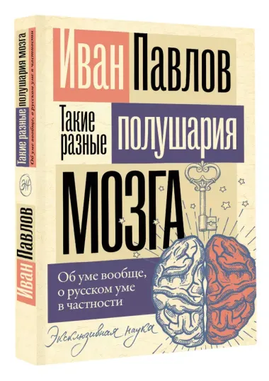 Такие разные полушария мозга. Об уме вообще, о русском уме в частности