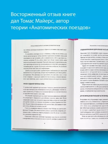 Блуждающий нерв. Руководство по избавлению от тревоги и восстановлению нервной системы