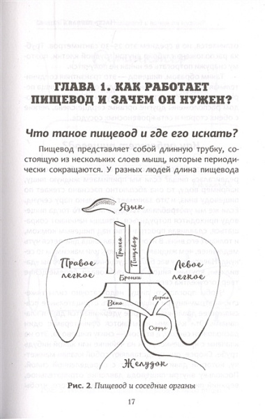 Гастро-книга. Пищеварение вдоль и поперек