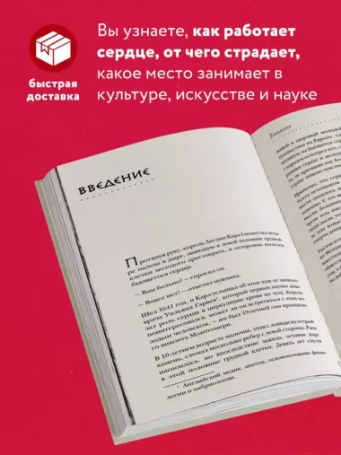 Прямо в сердце. Как главный символ любви превратился в главный орган кровообращения