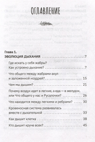 Человек дышащий. Как дыхательная система влияет на наши тело и разум и как улучшить её работу