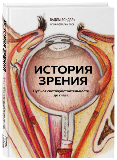 История зрения: путь от светочувствительности до глаза