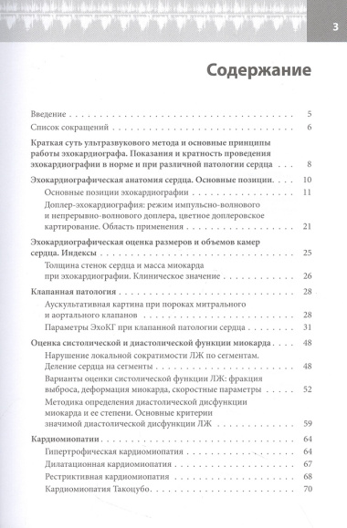 Эхокардиография для начинающих. Суть гемодинамических нарушений, позиции для анализа, определение тяжести порока