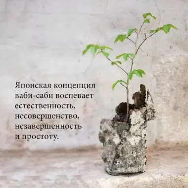 Wabi Sabi. Глоток счастья по-японски