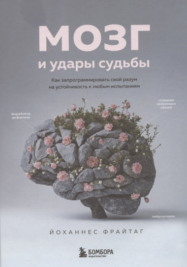 Мозг и удары судьбы. Как запрограммировать свой разум на устойчивость к любым испытаниям