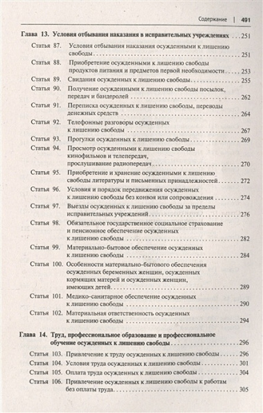 Научно-практический комментарий к Уголовно-исполнительному кодексу Российской Федерации (постатейный)