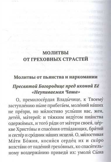 Молитвенная защита православного христианина. Молитвы на всякую потребу ко Господу Иисусу Христу, Его Пречистой Матери...