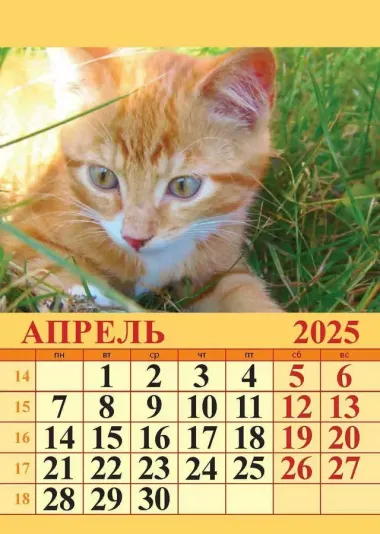 Календарь 2025г 96*135 "КОТЯТА" на магните