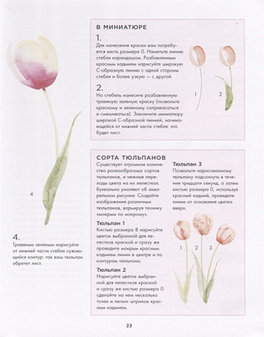 Botanical painting. Вдохновляющий курс рисования акварелью