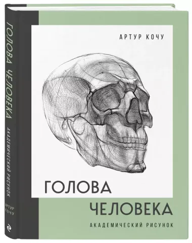 Голова человека. Академический рисунок