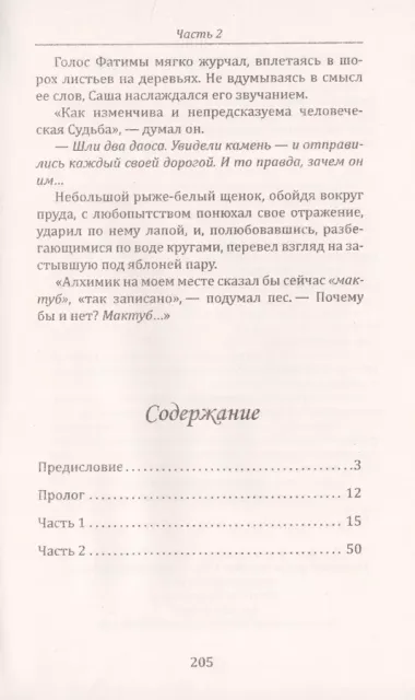 Всадник на спине ветра или о чем умолчал "Алхимик"