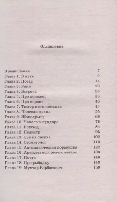 Как мы с Вовкой. История одного лета: книга для взрослых, которые забыли о том, как были детьми