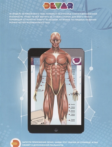 Анатомия:4D Энциклопедия в дополненной реальности ,А4,твердая обложка