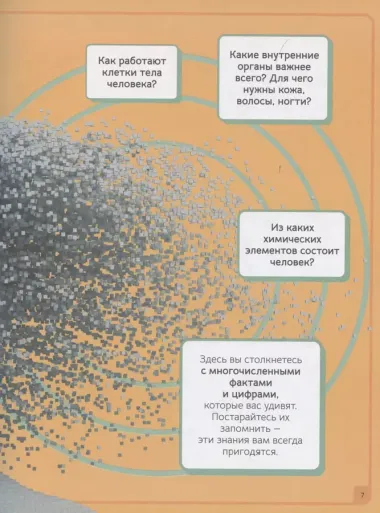 Тело человека. Инфографика