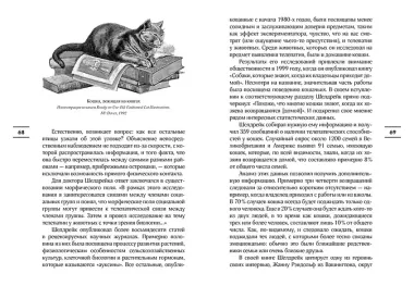 Таинственный мир кошек: Мифология, история и наука о сверхъестественных способностях самого независимого домашнего питомца