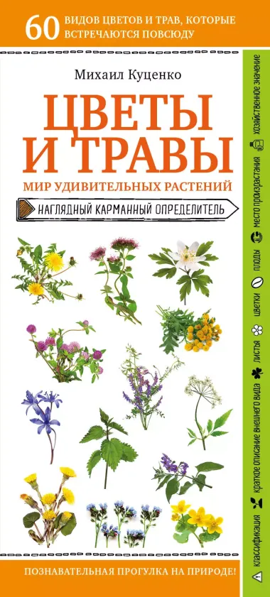 Цветы и травы. Мир удивительных растений. Наглядный карманный определитель