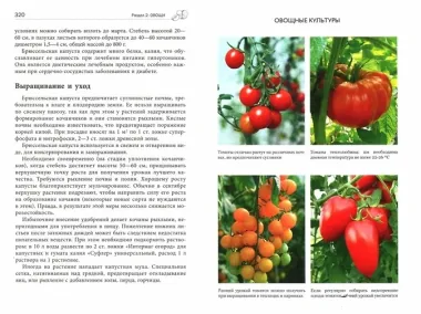 Новая энциклопедия садовода и огородника. Издание дополненное и переработанное (нов.оф.)