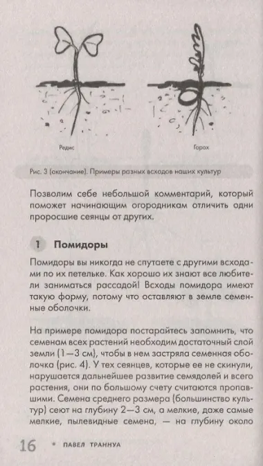 Как не потеряться среди сорняков. Стратегия и тактика борьбы за урожай